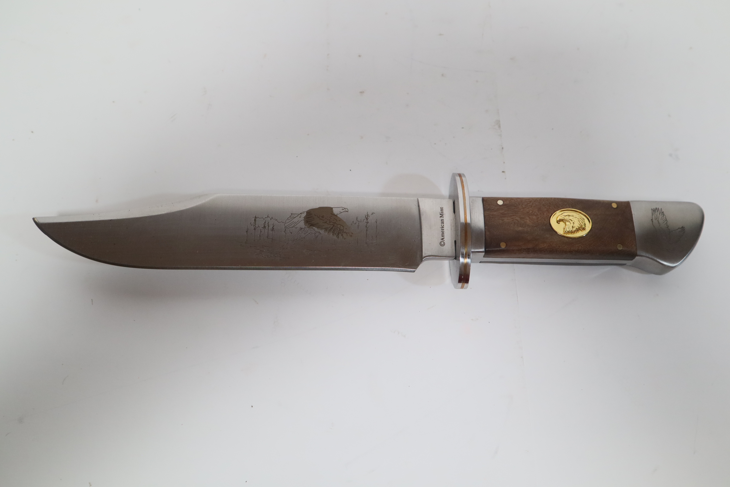 Bald Eagle Bowie Knife - Collector Knives