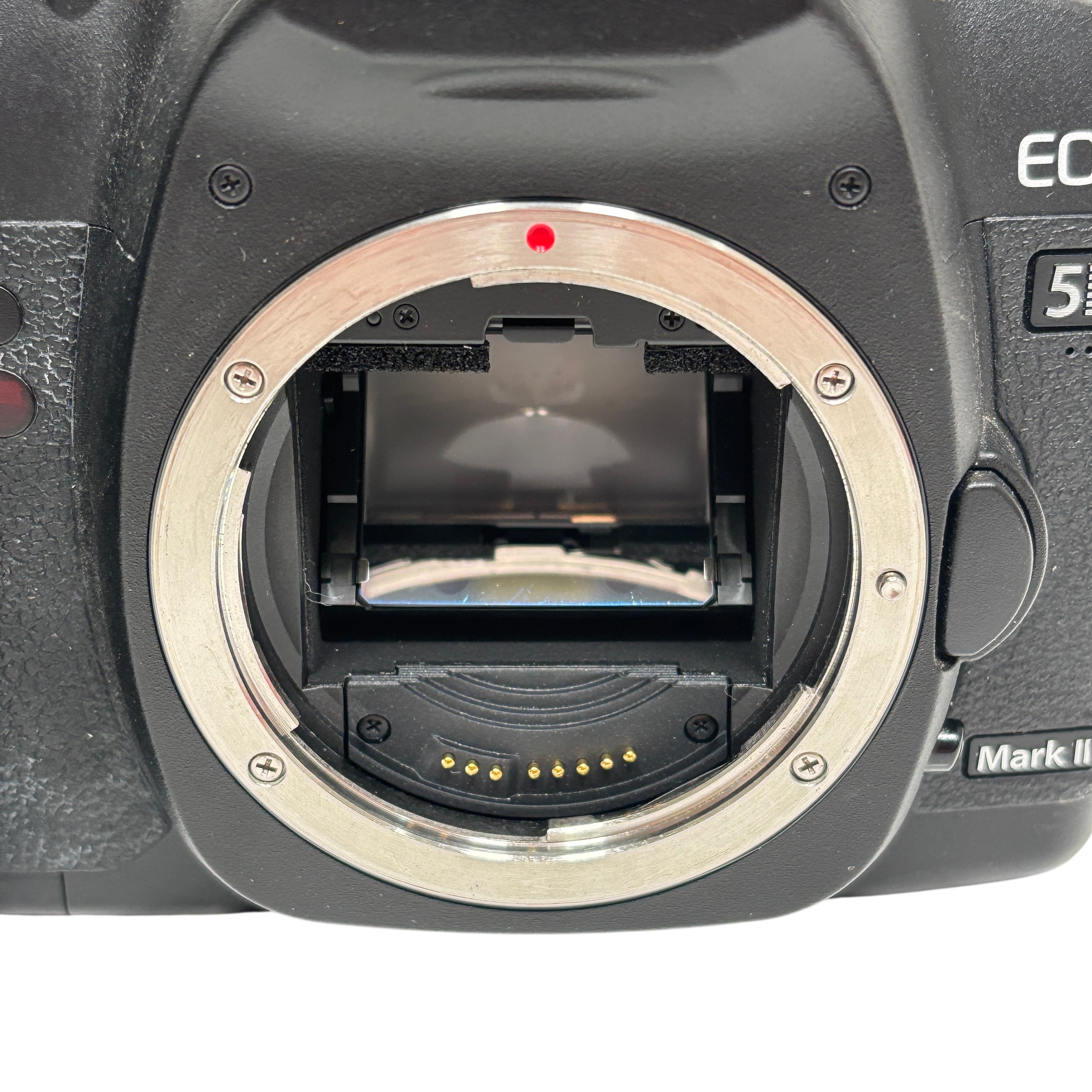 Canon EOS 5D Mark II DS126201 21.1MP 1080p Digital SLR Camera