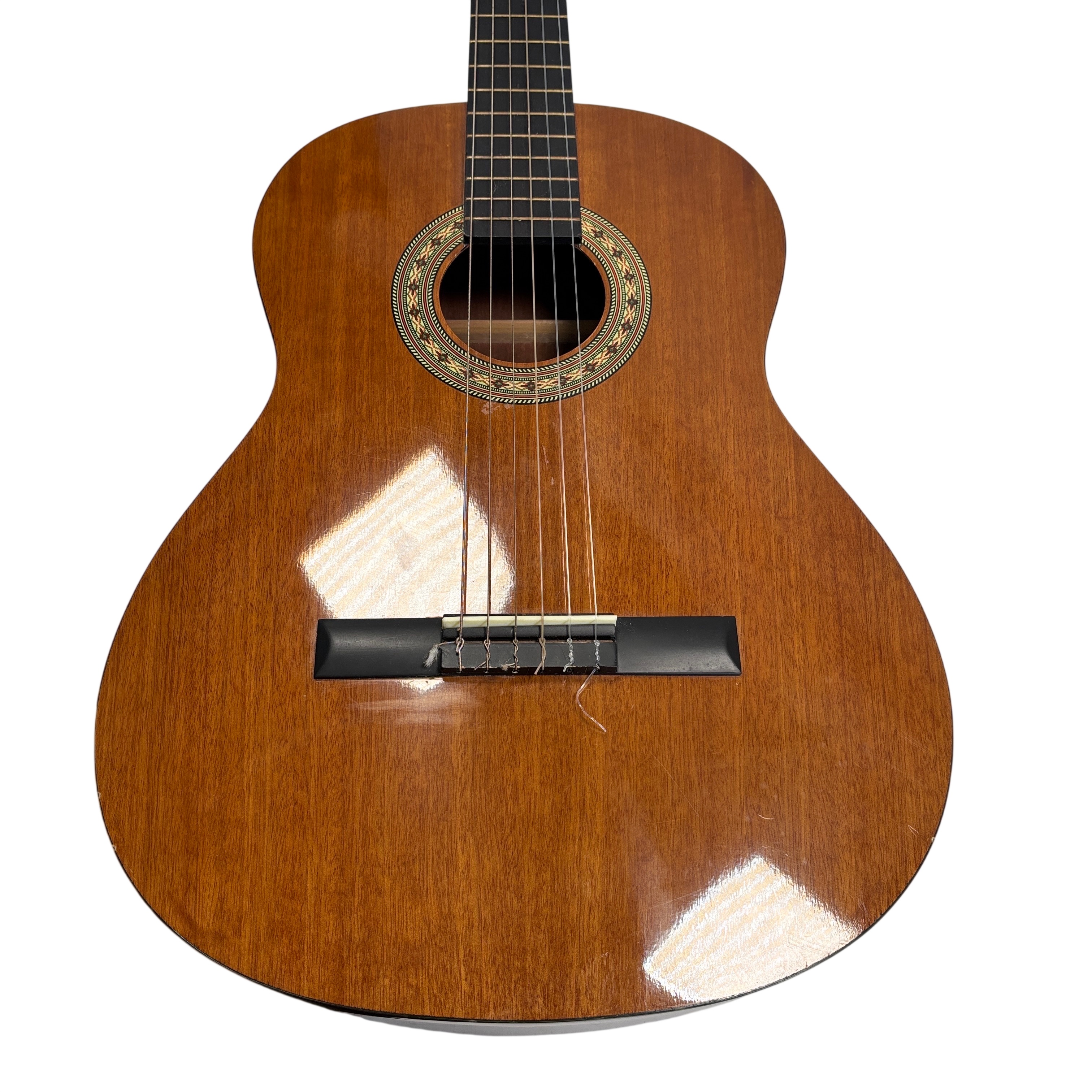 Nao・木立ち　STG152(⑤-2）と(STG150,151) Samick SC015 6-String Acoustic Guitar - Local Pickup Only