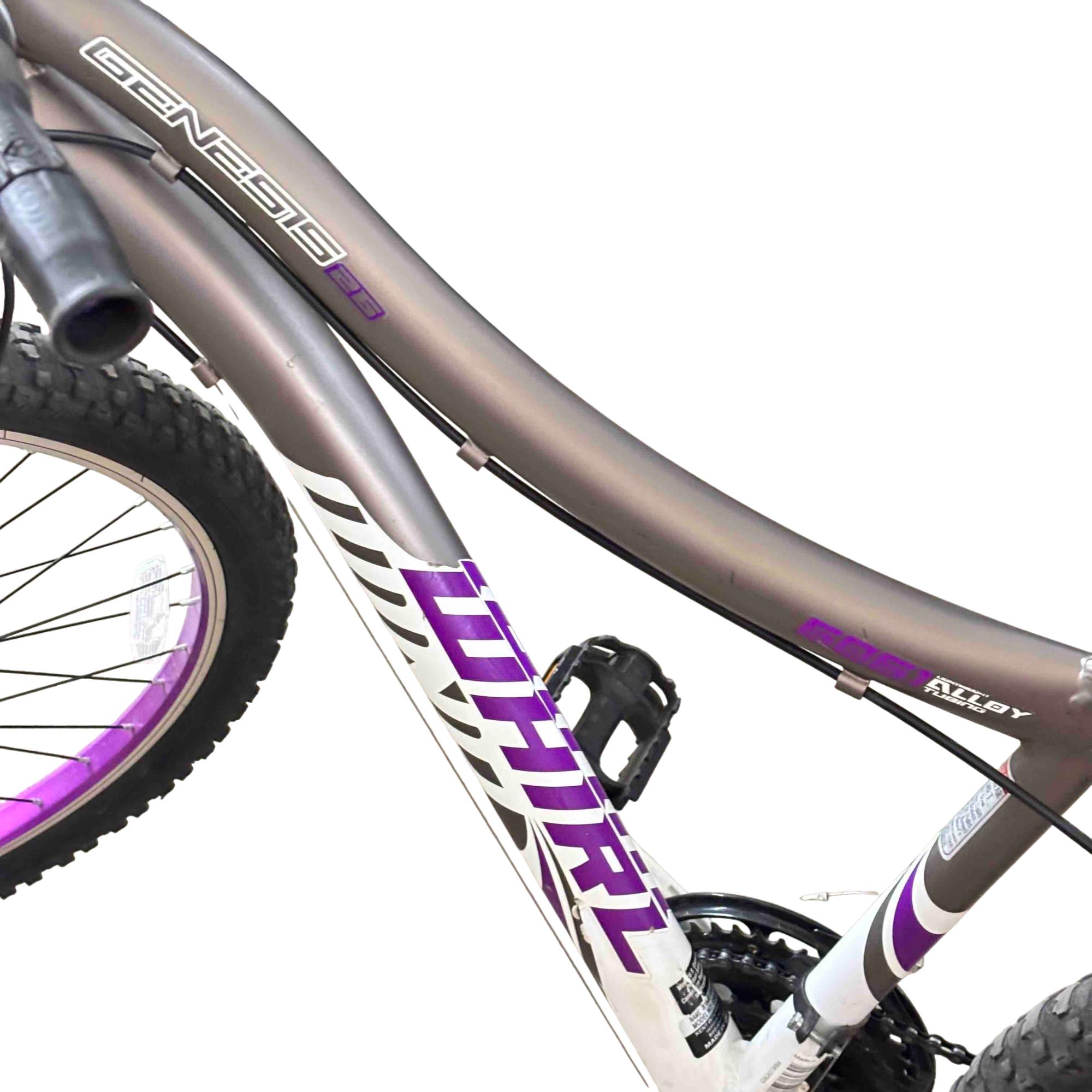 Genesis 26 Whirlwind Gray Mountain Bike / 26
