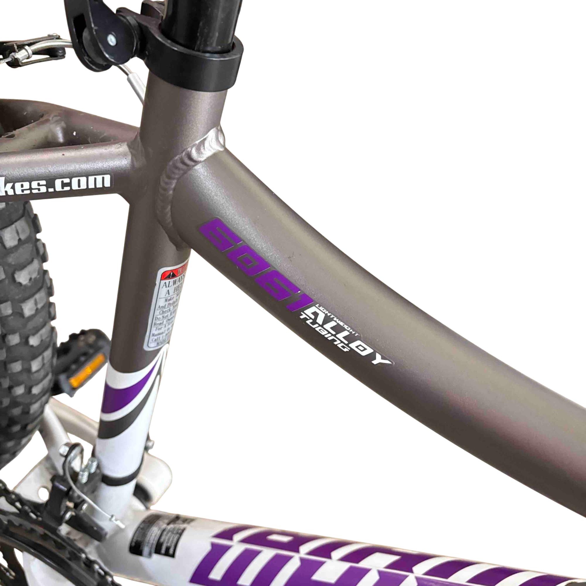 Genesis 26 Whirlwind Gray Mountain Bike / 26