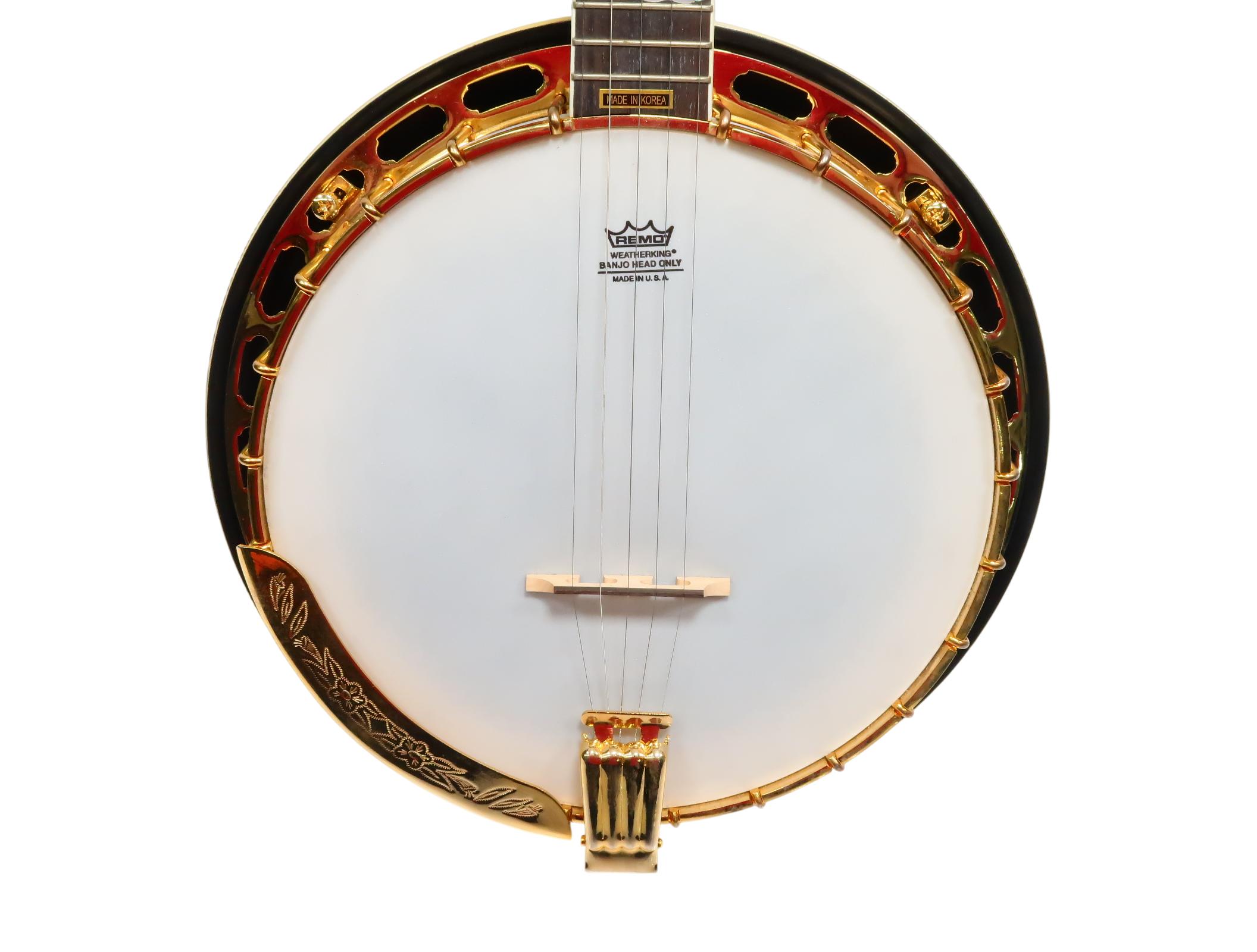 モナ Morgan Monroe MFB-4DX/C Appalachia Banjo - 5 String Pro