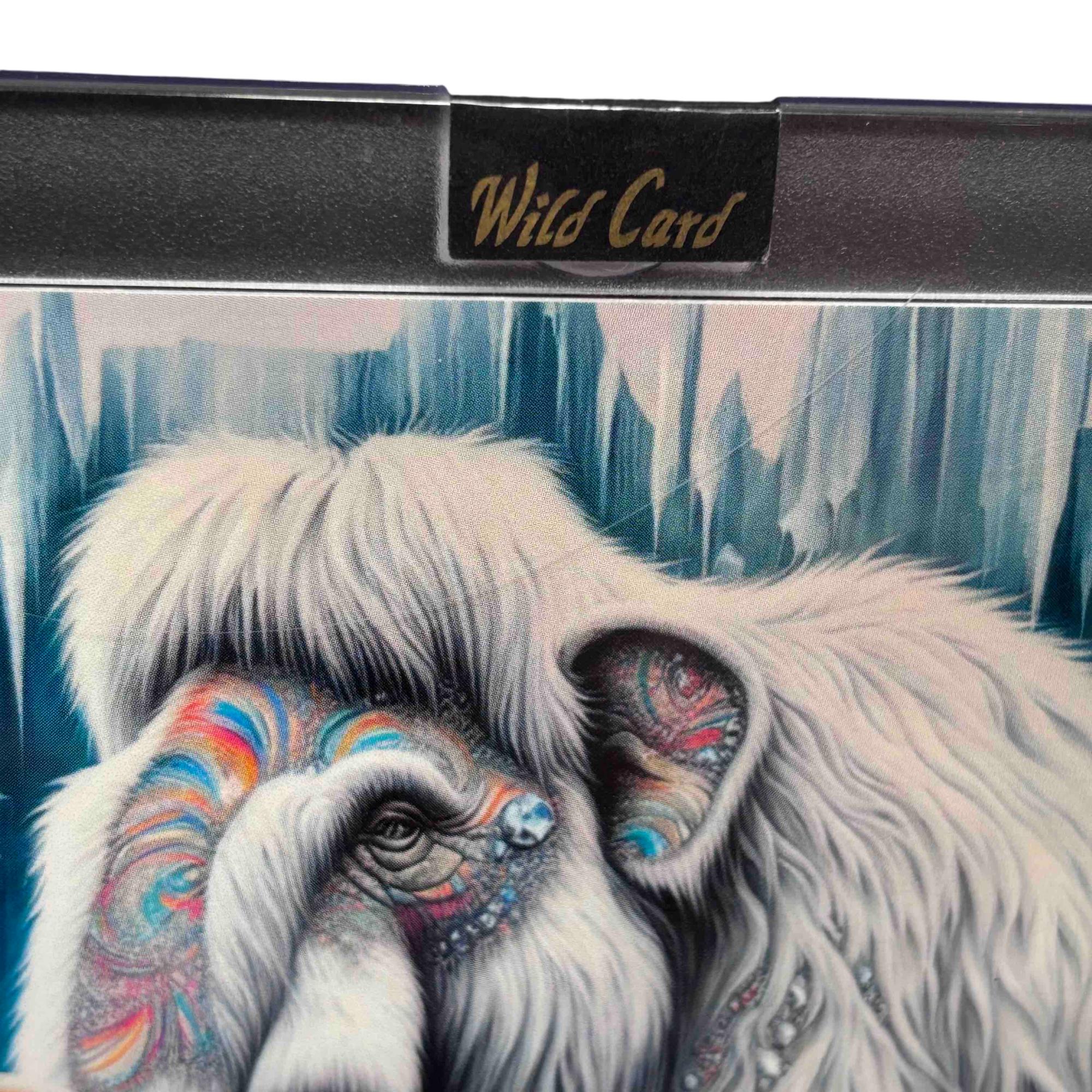 2024 Wild Card Alumination 1/1 Mammoth Drew Allar Rookie Card