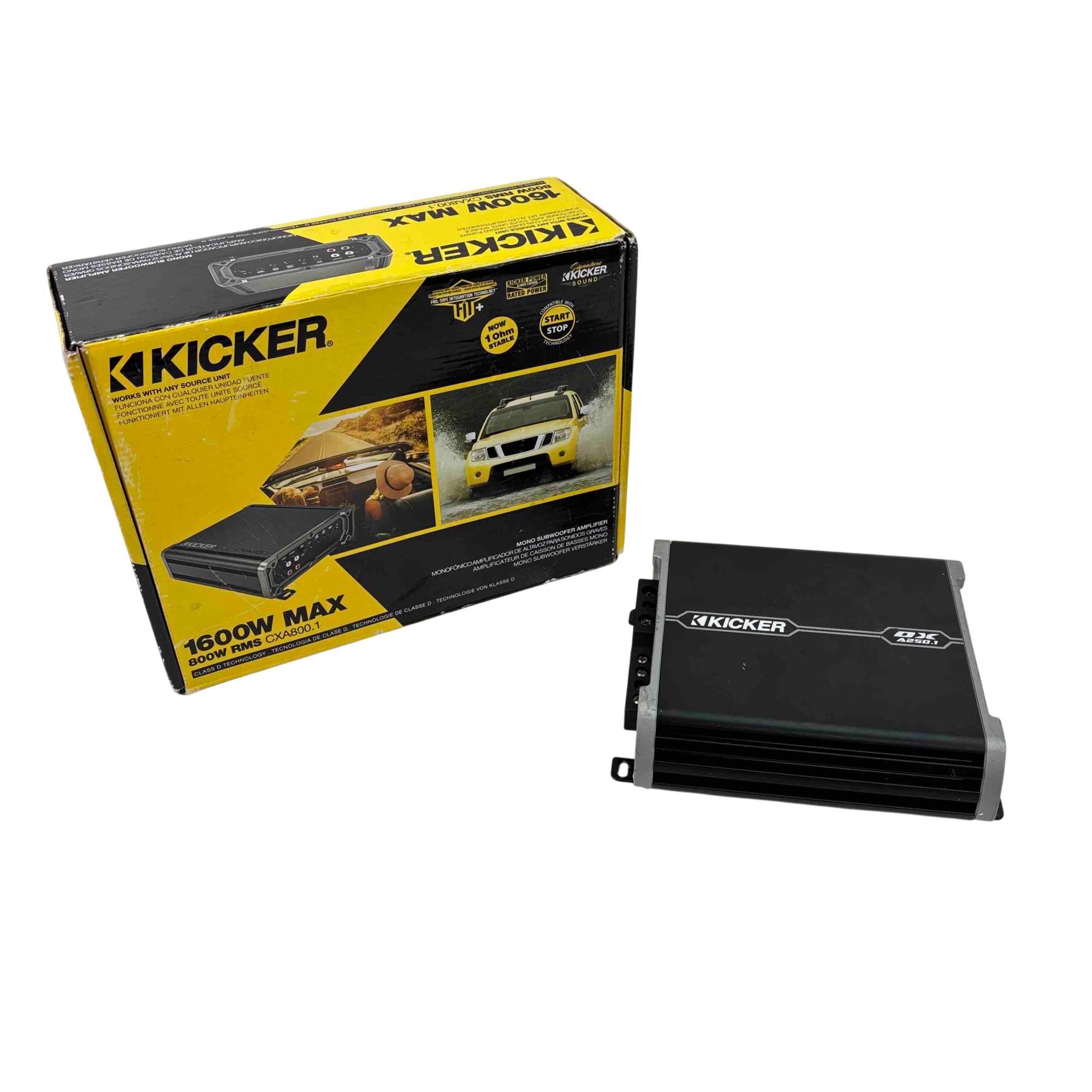 甲本ヒロト Amplifier 【新品】 a27dfcc9-1c9b-4b66-9255-