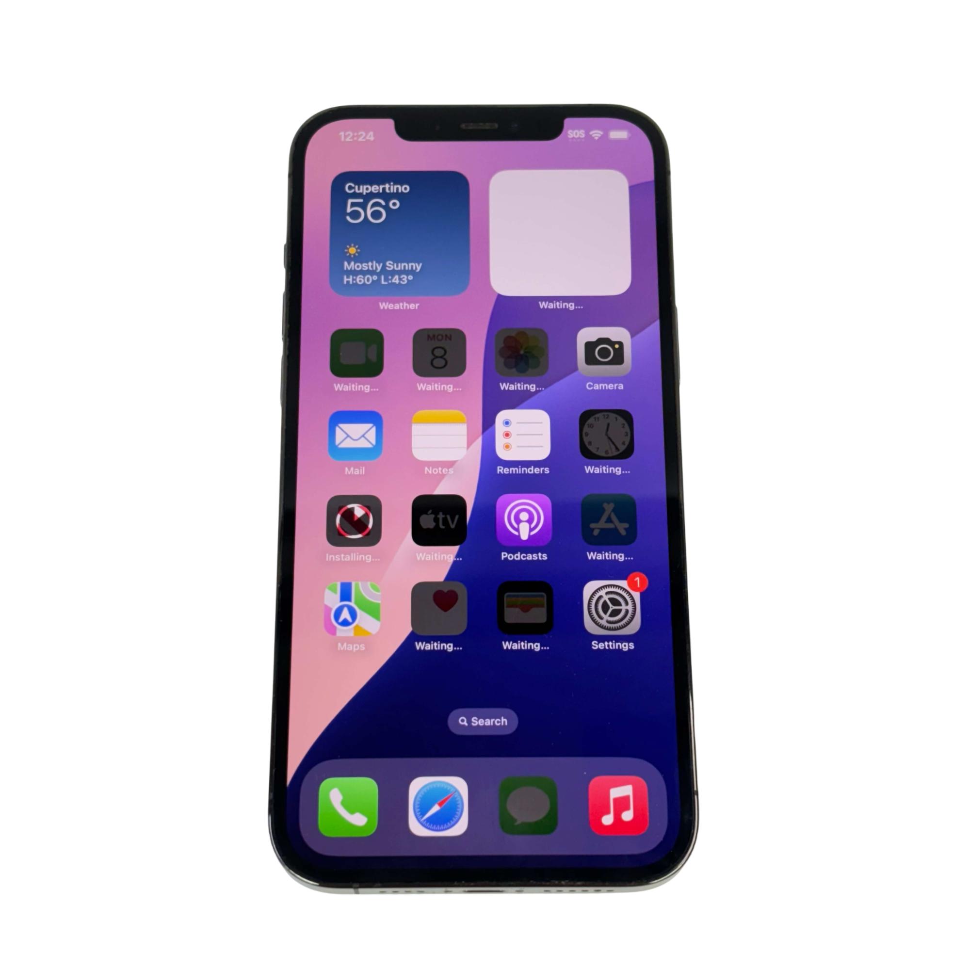 Apple iPhone 12 Pro Max 6.7