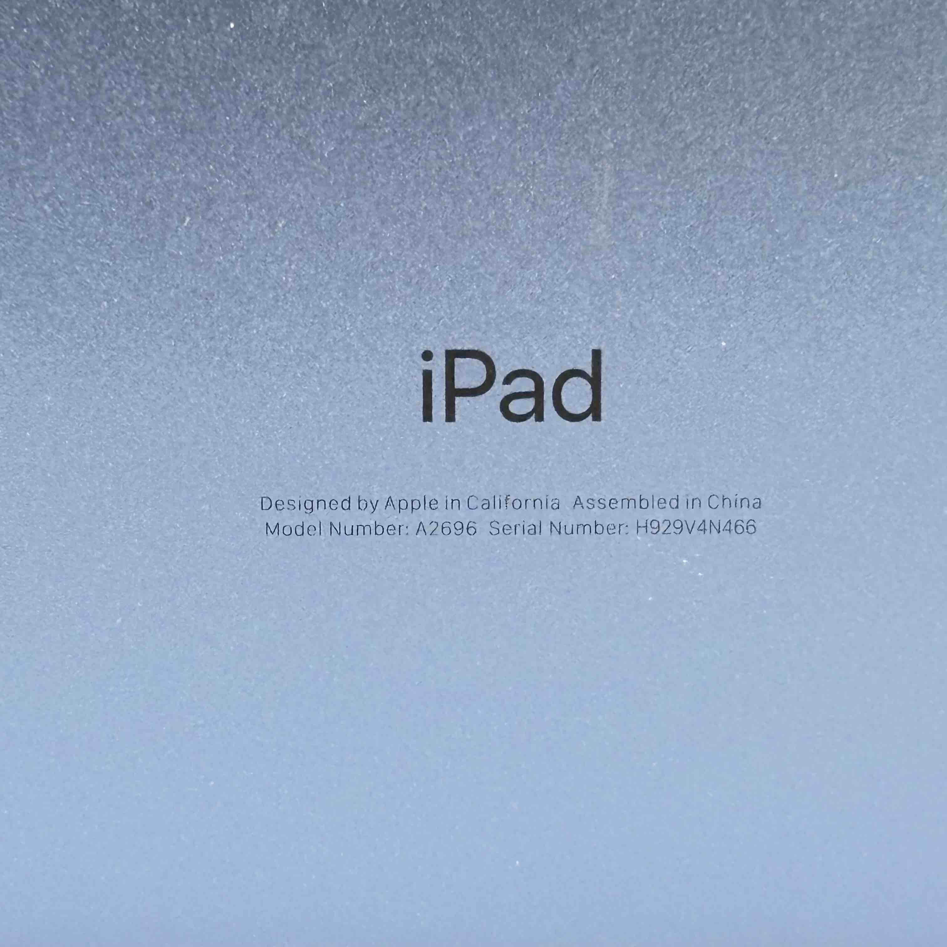 Apple MPQ13LL/A 10.9