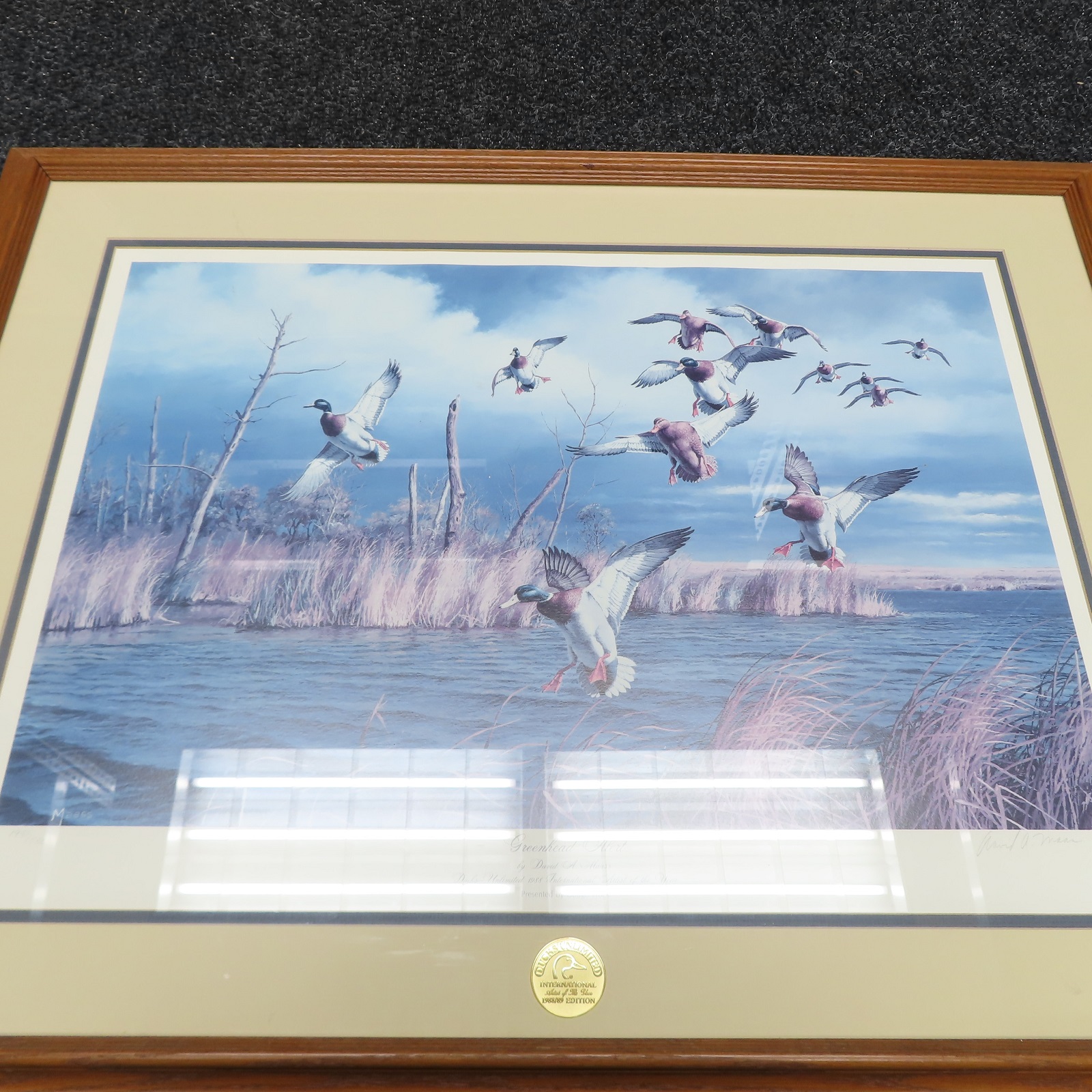 Greenhead Alert 1981/5300 Ducks Unlimited by David A. Maass (Local Pick