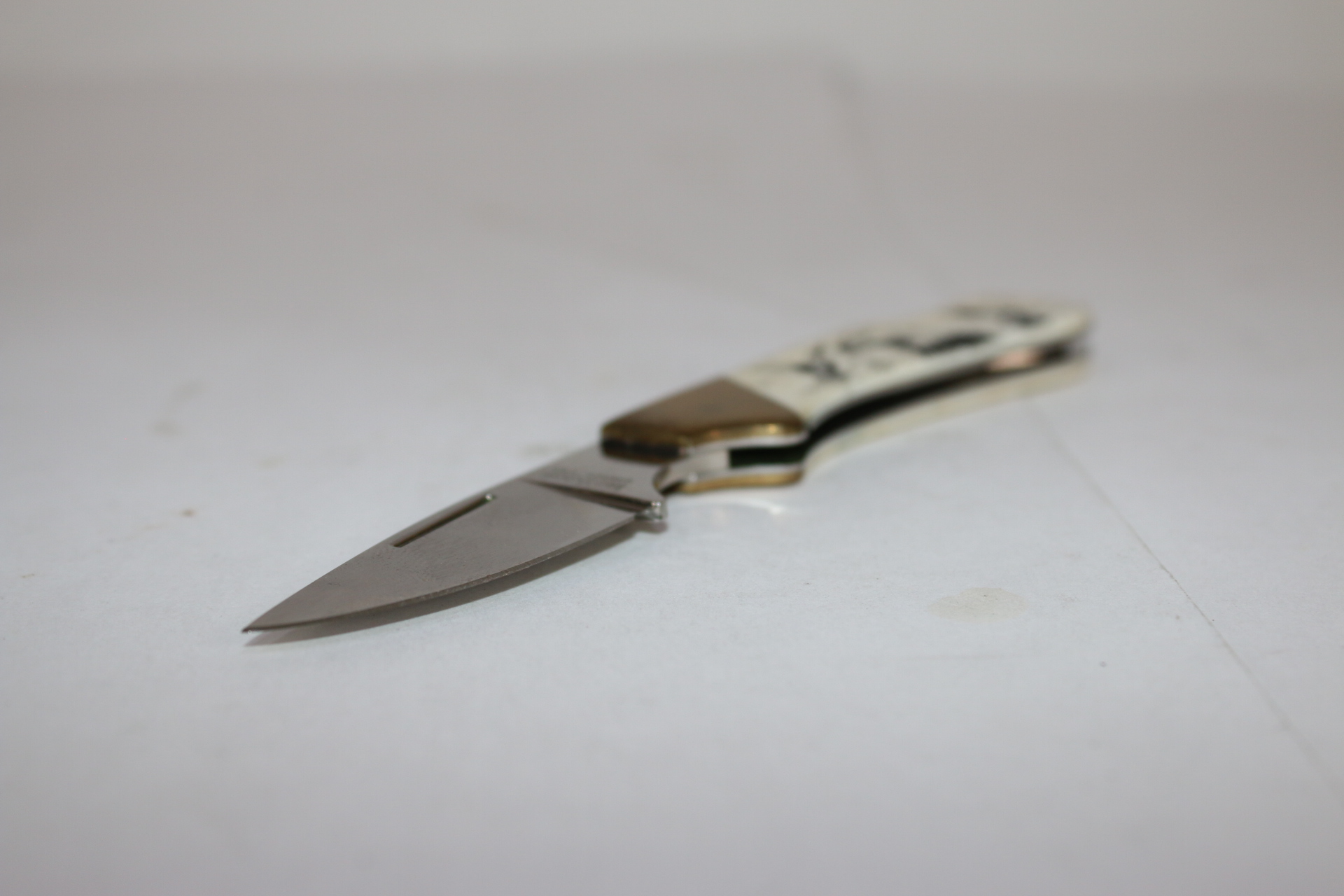 Kershaw Endangered Species Collectable Folding Knife Bald Eagle 318 / 2000
