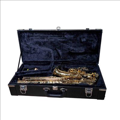 Cannonball Musical Instruments Gold Lacquered Alto Saxophone