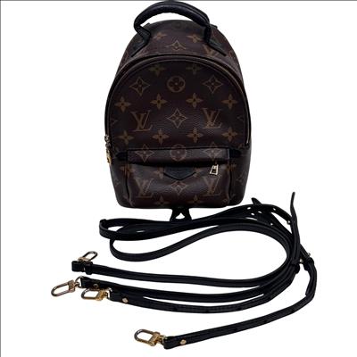Louis Vuitton Palm Springs Mini Monogram Canvas Backpack C.O.A.