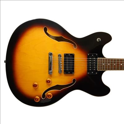 Washburn HB30 6-String RH Semi-Hollowbody Electric Guitar