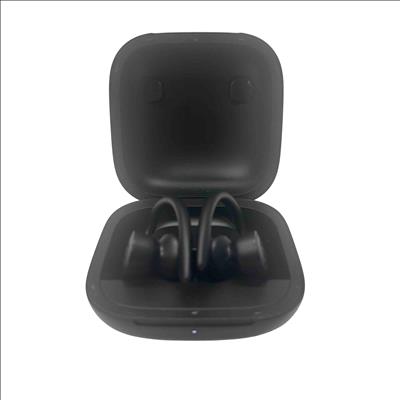 Beats by Dr. Dre Powerbeats Pro A2048 Lightning Bluetooth True