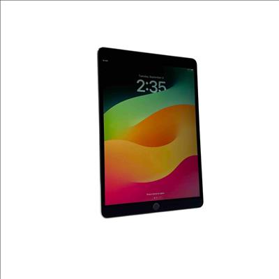 Apple iPad Pro 1st Generation 9.7-inch Wi-Fi - 256GB - Space Gray