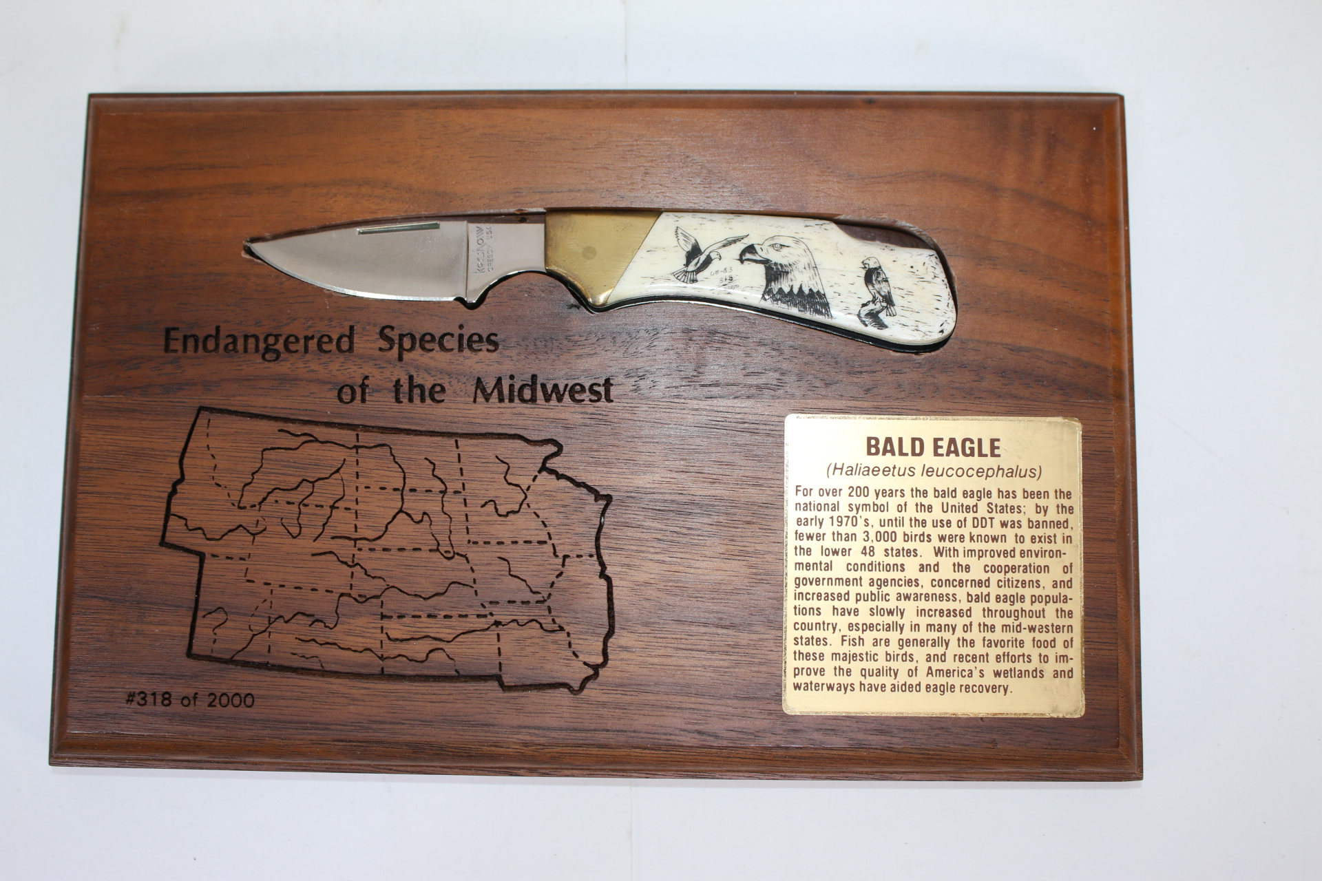 Kershaw Endangered Species Collectable Folding Knife Bald Eagle 318 / 2000