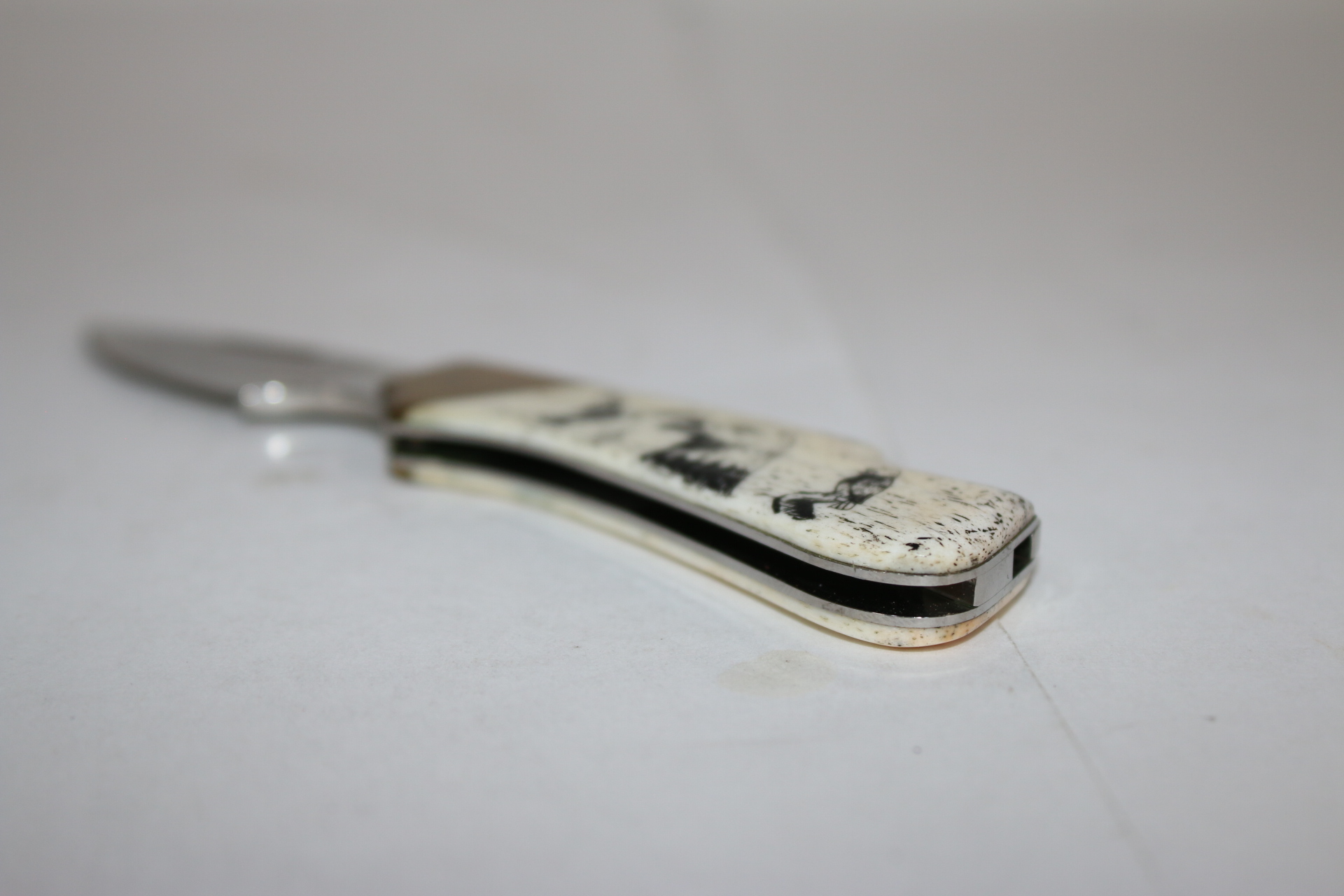 Kershaw Endangered Species Collectable Folding Knife Bald Eagle 318 / 2000