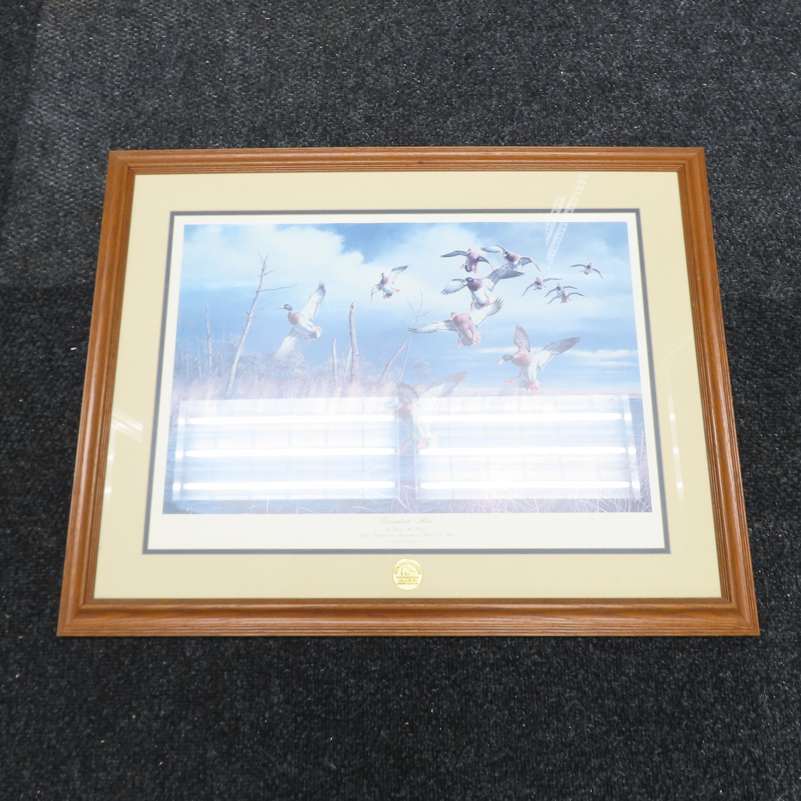 Greenhead Alert 1981/5300 Ducks Unlimited by David A. Maass (Local Pick