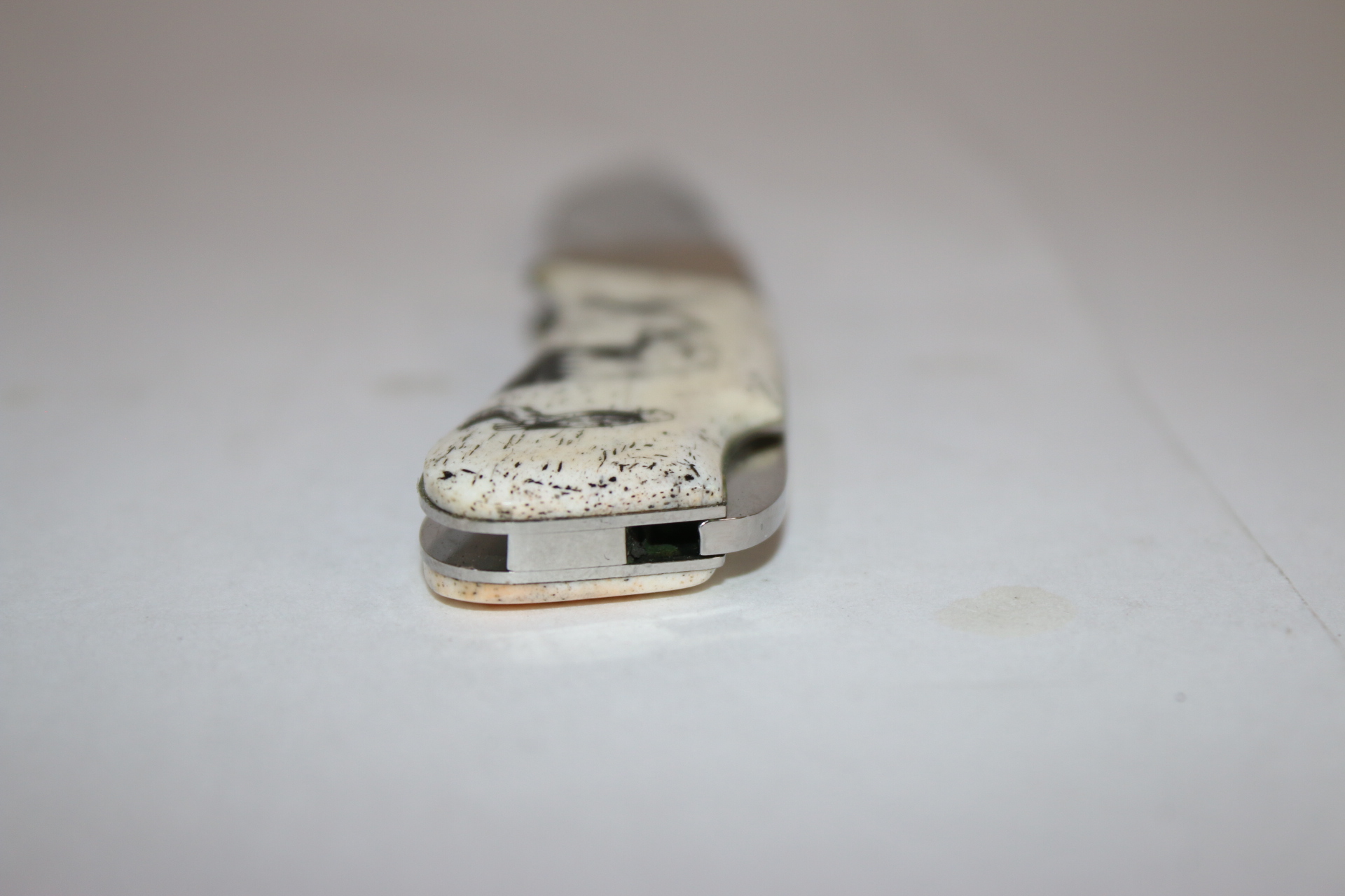 Kershaw Endangered Species Collectable Folding Knife Bald Eagle 318 / 2000